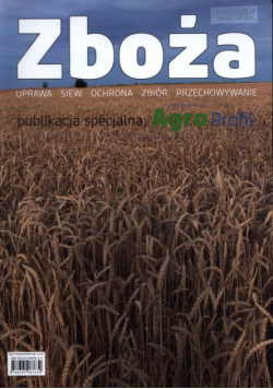 Zboża