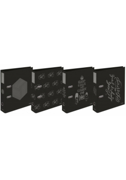 Segregator A4/2R 7cm z dźwignią Clever Silver