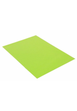Filc dekoracyjny seledynowy 20x30cm 10szt