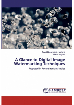 A Glance to Digital Image Watermarking Techniques