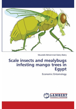 Scale insects and mealybugs infesting mango trees in Egypt