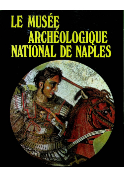 Le musee archeologique national de naples