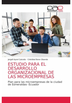 Estudio Para El Desarrollo Organizacional De Las Microempresas