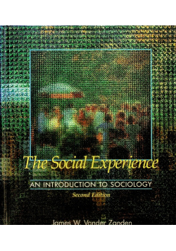 The Social Experience