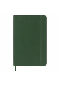 Kalendarz 2024 dzienny P br. Myrtle Green