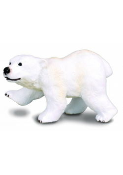 Niedźwiadek polarny idący