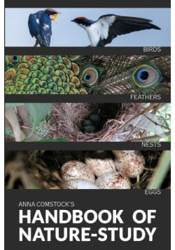 The Handbook Of Nature Study in Color - Birds