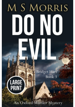 Do No Evil (Large Print)