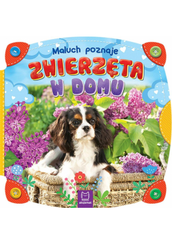 Maluch poznaje zwierzęta w domu