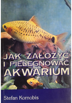 Jak założyć i pielęgnować akwarium