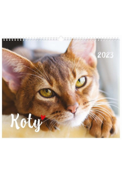 Kalendarz 2023 ścienny planszowy 33,5x40 cm Koty