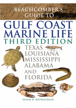 Beachcomber's Guide to Gulf Coast Marine Life