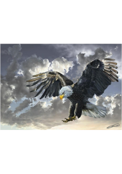 Puzzle 500 Orzeł