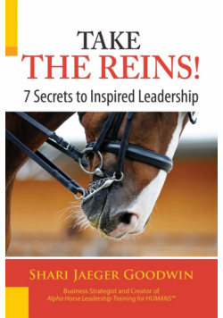 Take The Reins!