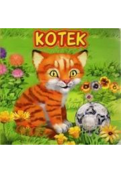 Kotek JAFI