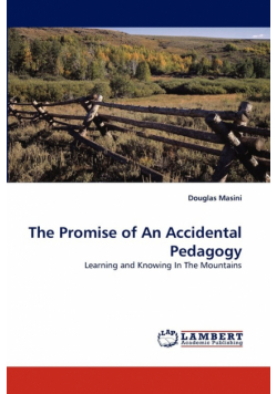 The Promise of An Accidental Pedagogy