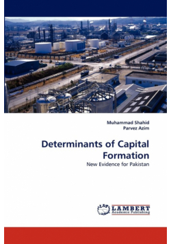 Determinants of Capital Formation