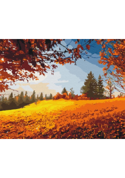 Malowanie po numerach - Jesienny las 40x50cm
