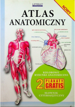 Atlas Anatomiczny
