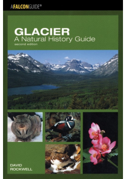 Glacier