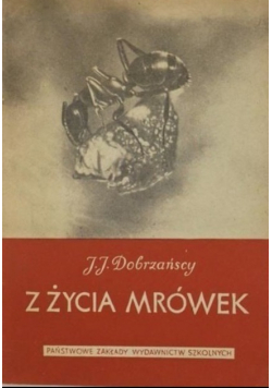 Z życia mrówek