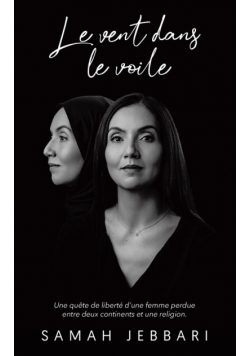 Le vent dans le voile