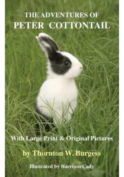 The Adventures of Peter Cottontail