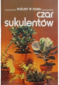 Rośliny w domu Czar sukulentów