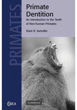 Primate Dentition