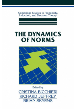 The Dynamics of Norms