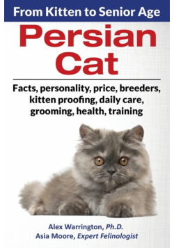 Persian Cat