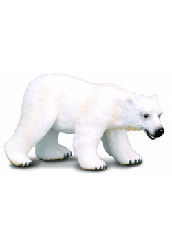Niedźwiedź polarny L