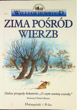 Zima pośród wierzb