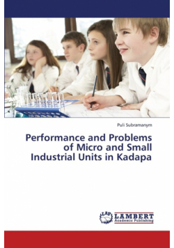 Performance and Problems of Micro and Small Industrial Units in Kadapa