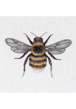 Karnet kwadrat z kopertą Bee