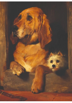 Karnet 17x14cm z kopertą Dignity and Impudence