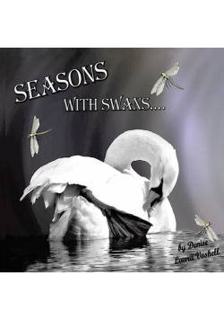 Seasons with Swans