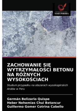 Zachowanie Się Wytrzymałości Betonu Na Różnych Wysokościach