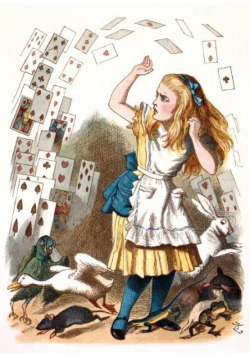 Karnet B6 z kopertą Alice and the Shower of Cards