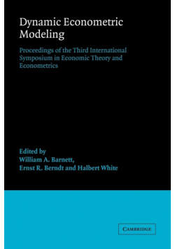 Dynamic Econometric Modeling
