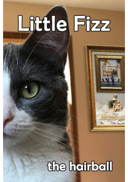 Little Fizz