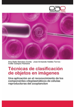 Técnicas de clasificación de objetos en imágenes