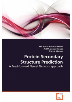 Protein Secondary Structure Prediction