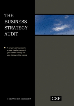 The Business Strategy Audit