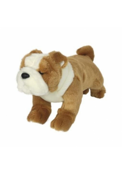 Bulldog 30cm