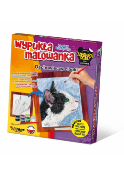 Wypukła malowanka Koty - Dachowiec w ciapki