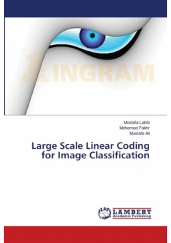 Large Scale Linear Coding for Image Classification