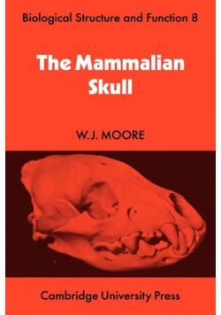 The Mammalian Skull