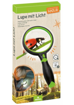 Lupa