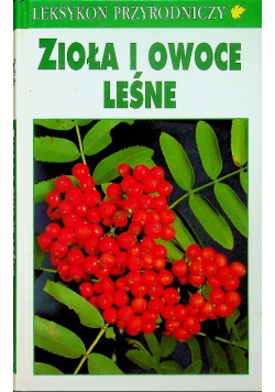 Zioła i owoce leśne